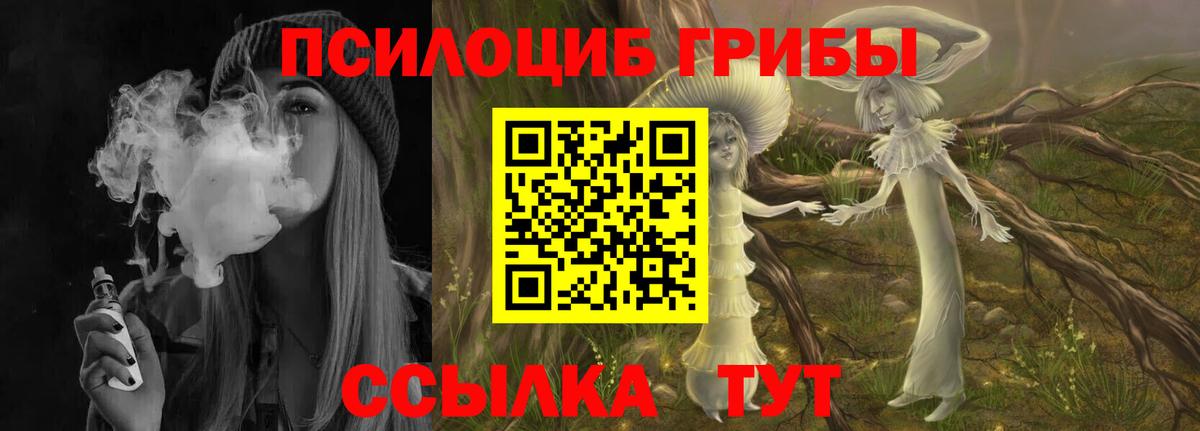 Галлюциногенные грибы Psilocybe  Вход с VPN  как найти   Кулебаки 