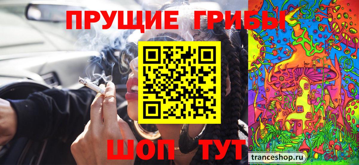 Псилоцибиновые грибы Cubensis Кулебаки